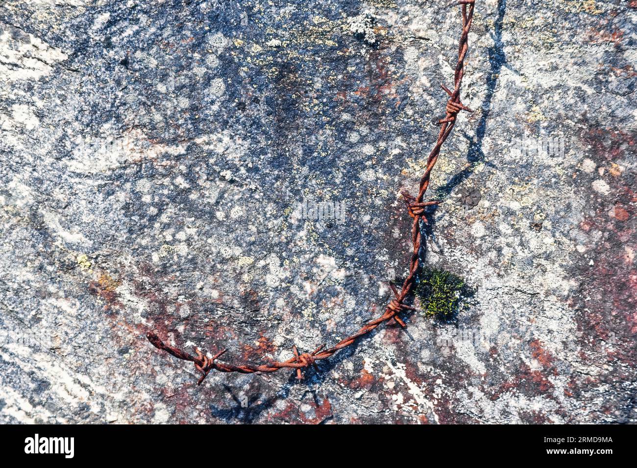 Old rusty barbed wire on rock Stock Photo
