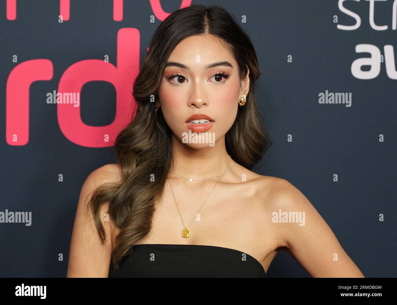 Los Angeles, USA. 27th Aug, 2023. Kat Bruno arrives at the 2023 Streamy ...