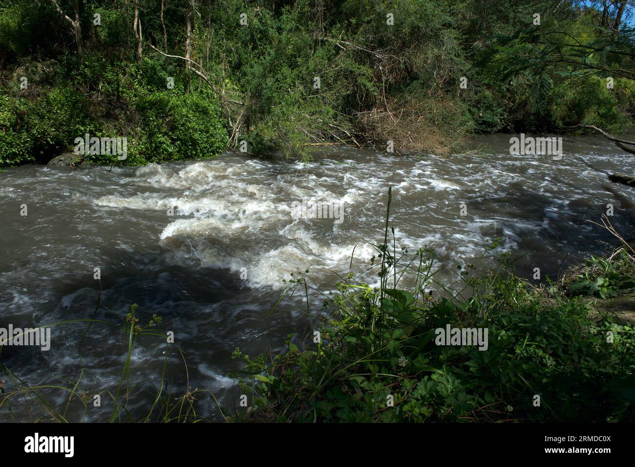 Dandenong Creek runs through the Eastern and South Eastern suburbs of Melbourne, and used to cause some flooding after heavy rain - like this. Stock Photo