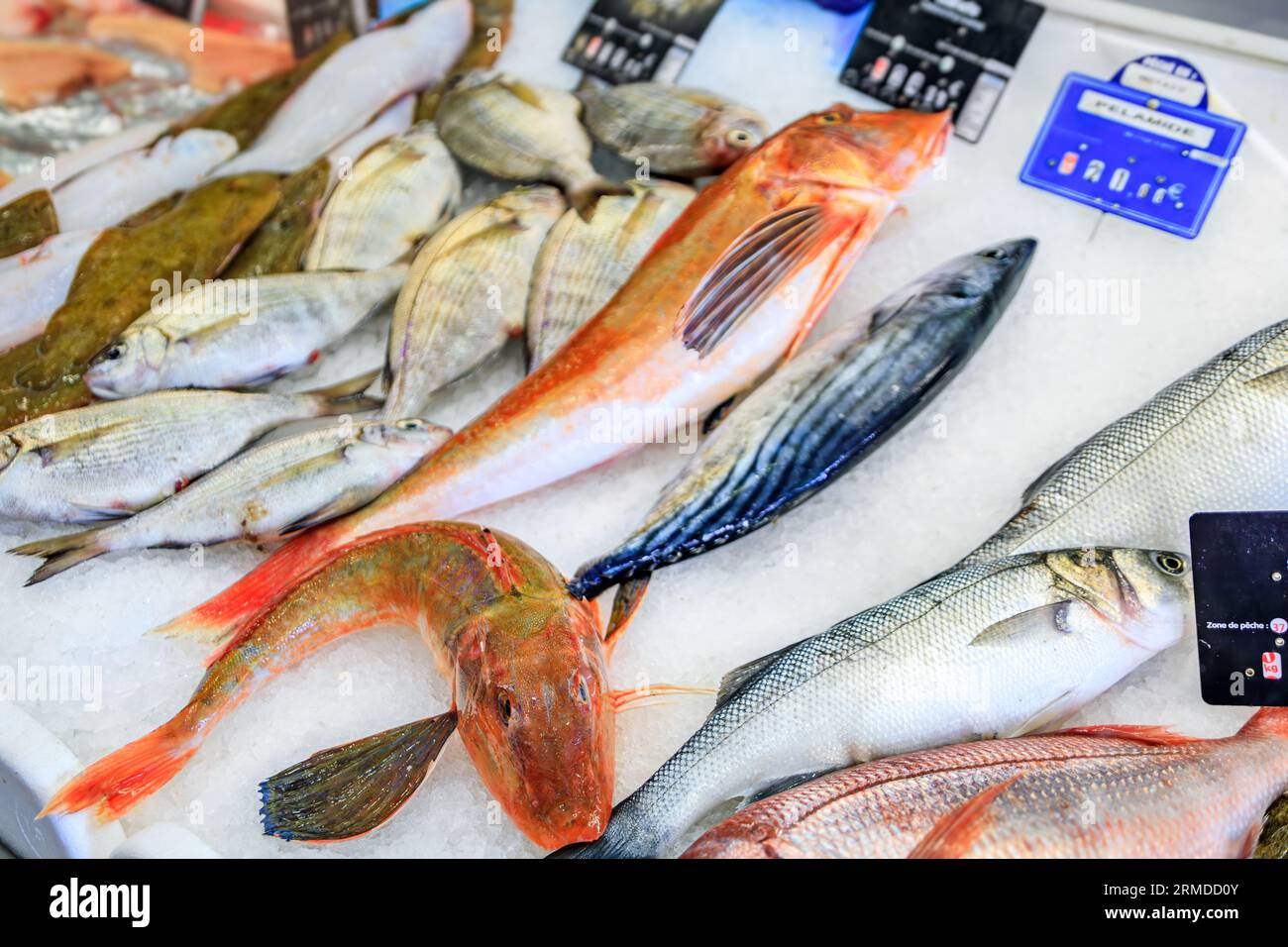 Freshly caught fish on display at the fish market in the Old Town, Vieille Ville in Menton, French Riviera, South of France Stock Photo