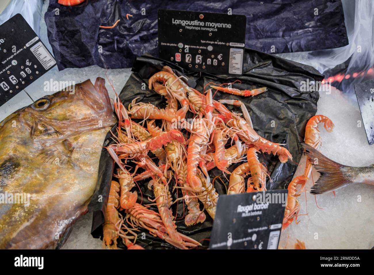 Fresh red langostino on display at the fish market in the Old Town, Vieille Ville in Menton, French Riviera, South of France Stock Photo