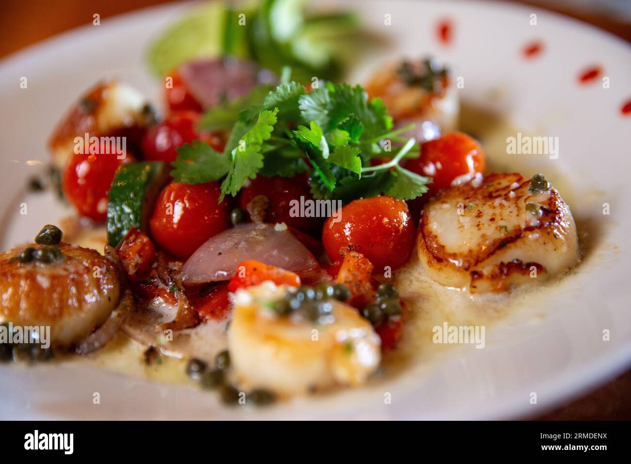 Seared Scallops with white wine butter sauce Stock Photo Alamy