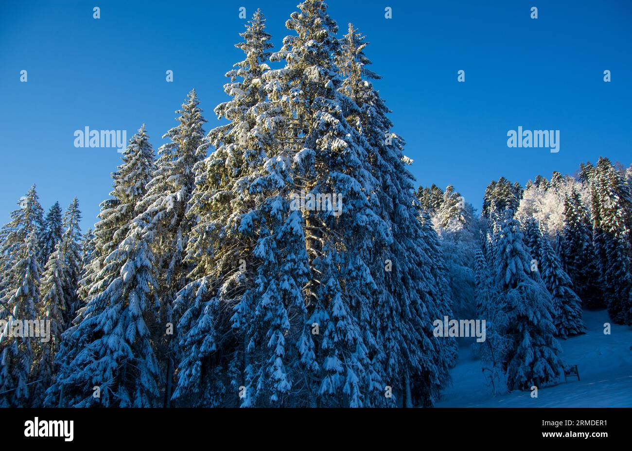 Winter has arrived in the Italian Alps Stock Photo - Alamy