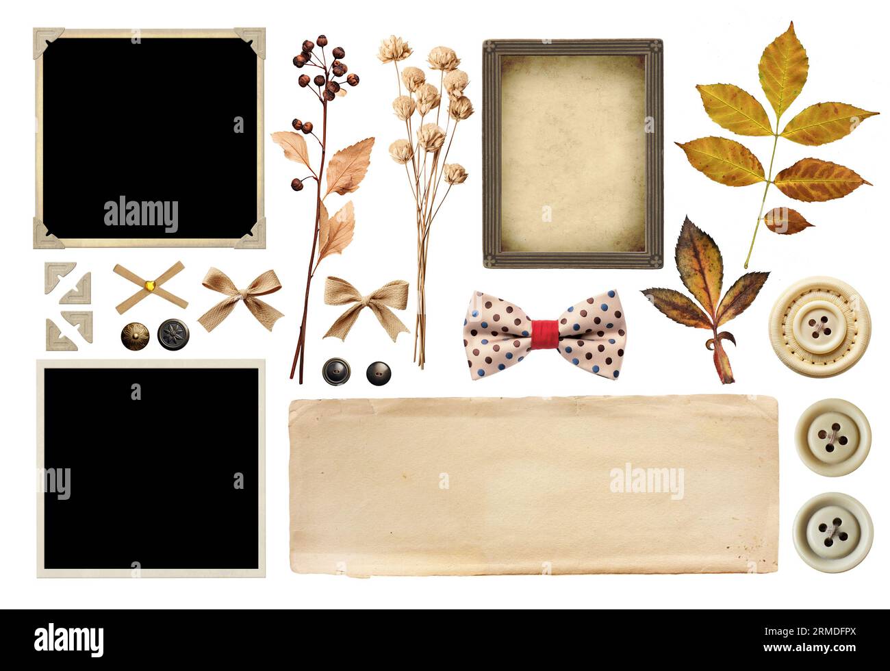 Collection of vintage elements for scrapbooking. Nostalgic set of retro photo, linen bows, dry pressed flower and leaf, buttons, paper corners for alb Stock Photo