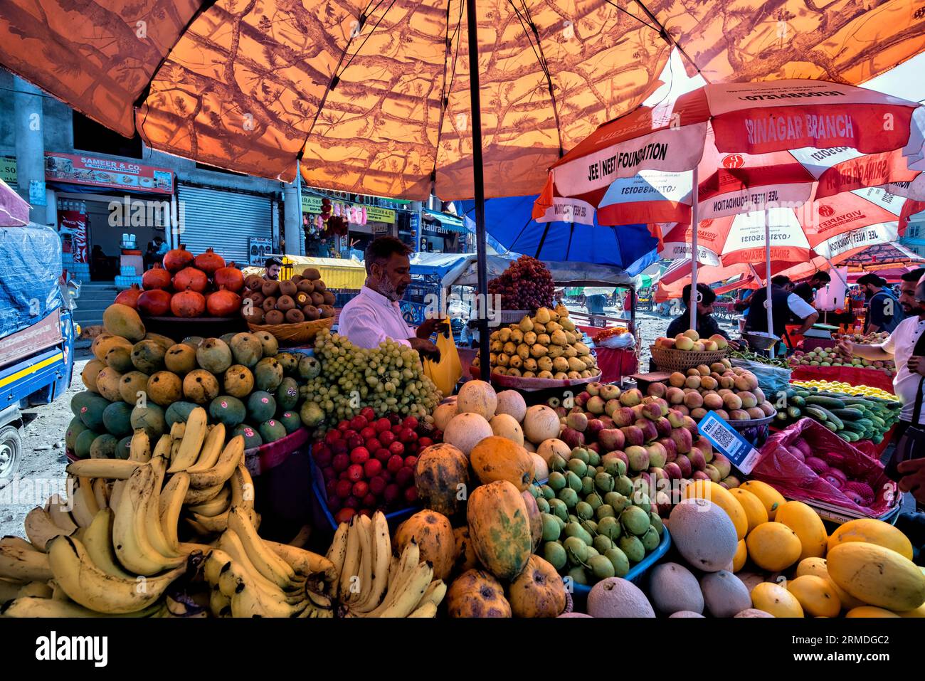 Fruit vendor at work, Srinagar, Kashmir, India Stock Photo