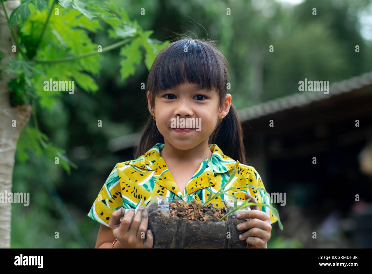 Little girl shows saplings grown in recycled plastic bottles. Recycle water bottle pot, gardening activities for children. Recycling of plastic waste Stock Photo