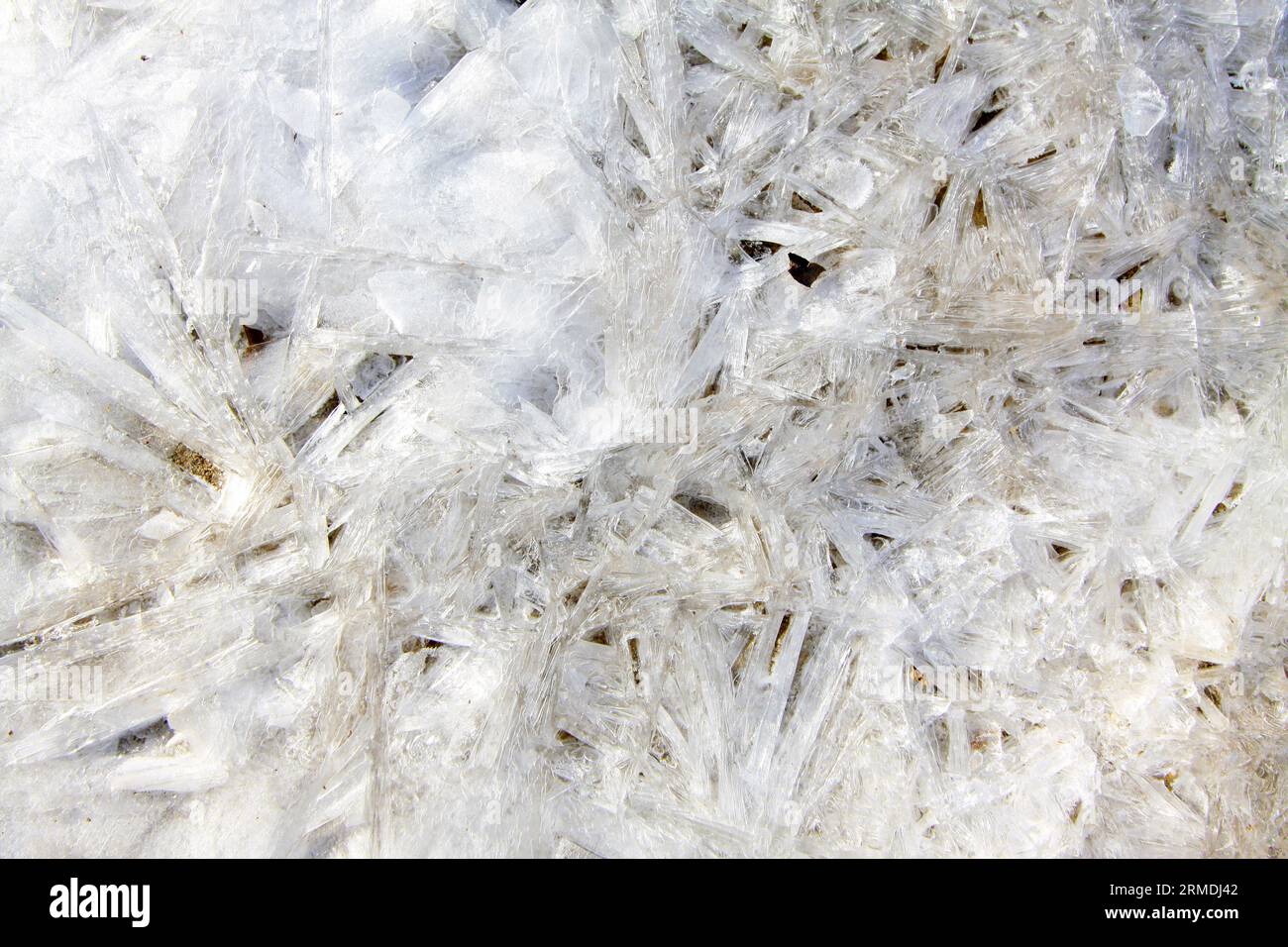frozen pattern in the river in the wild Stock Photo - Alamy