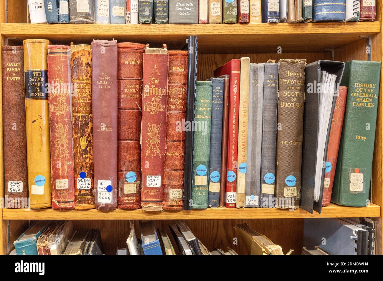 Book shelves, Linen Hall Library, Belfast, Belfast, Northern Ireland