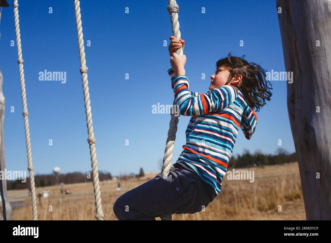 Women hands pull a strong blue rope tied to a birch tree. Professional zip  line or cable car installation. Time for fun and relaxation. Family weekend  Stock Photo - Alamy