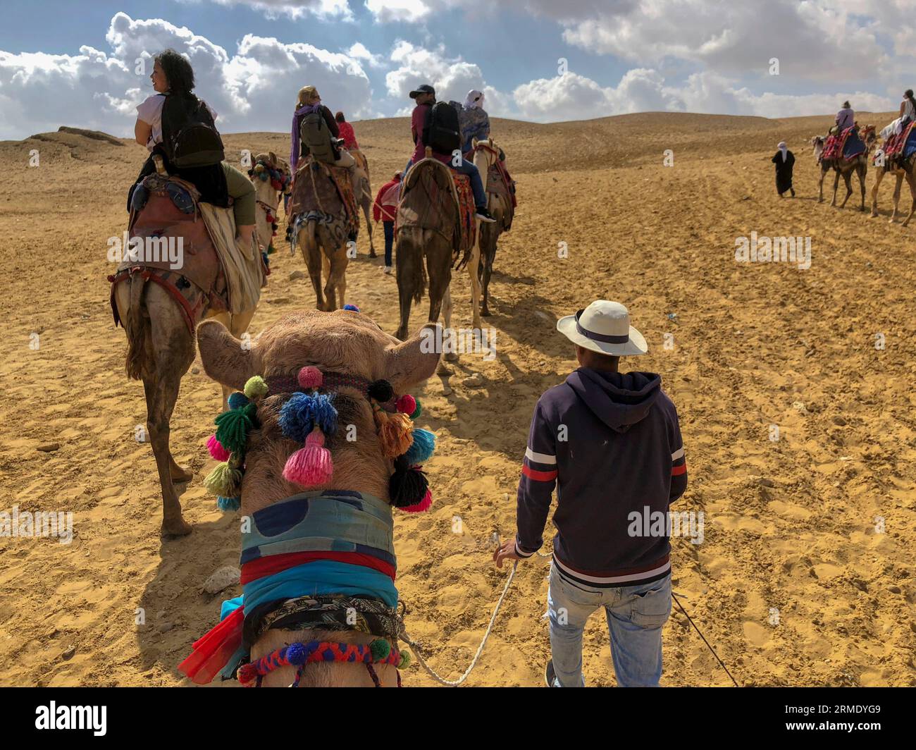 Group of tourists riding camels in the desert in Egypt near Giza Stock ...