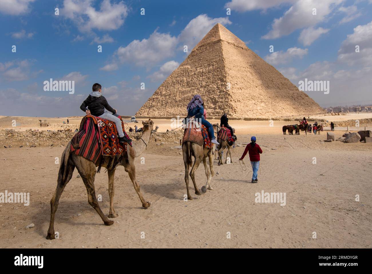 Young Egyptians riding camels at the Pyramids of Giza Stock Photo