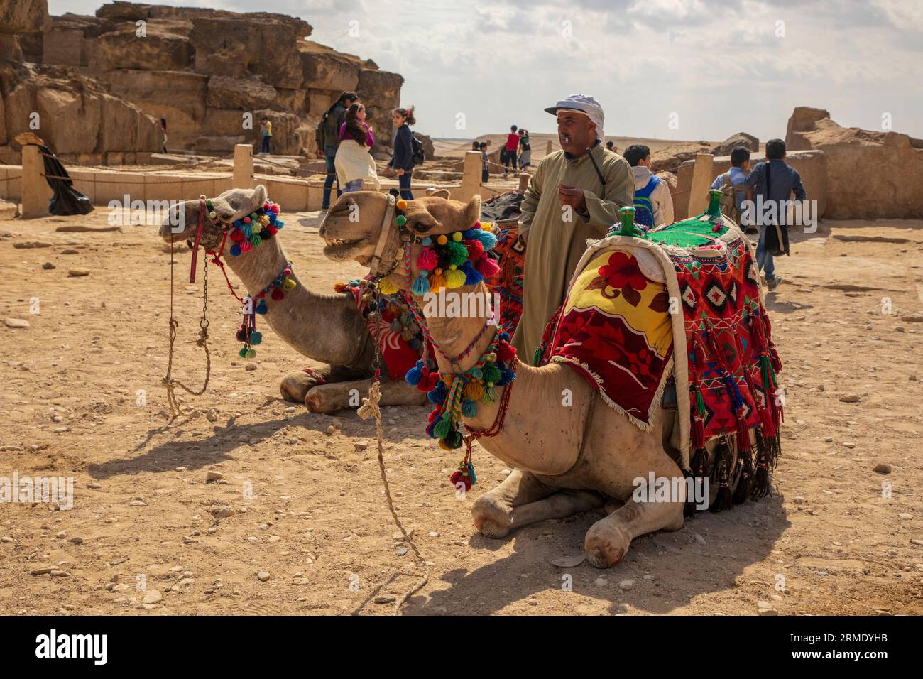 Two camels waiting to give tourists a ride at the Pyramids of Giza Stock Photo