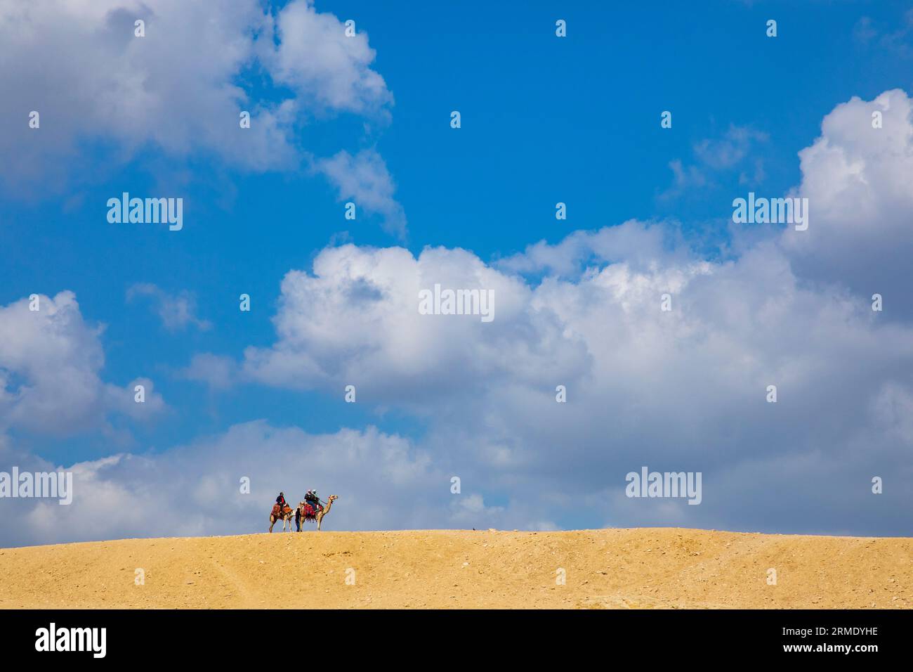 Blue Camel Rider Camel riding in giza plateau hi-res stock photography and images - Alamy