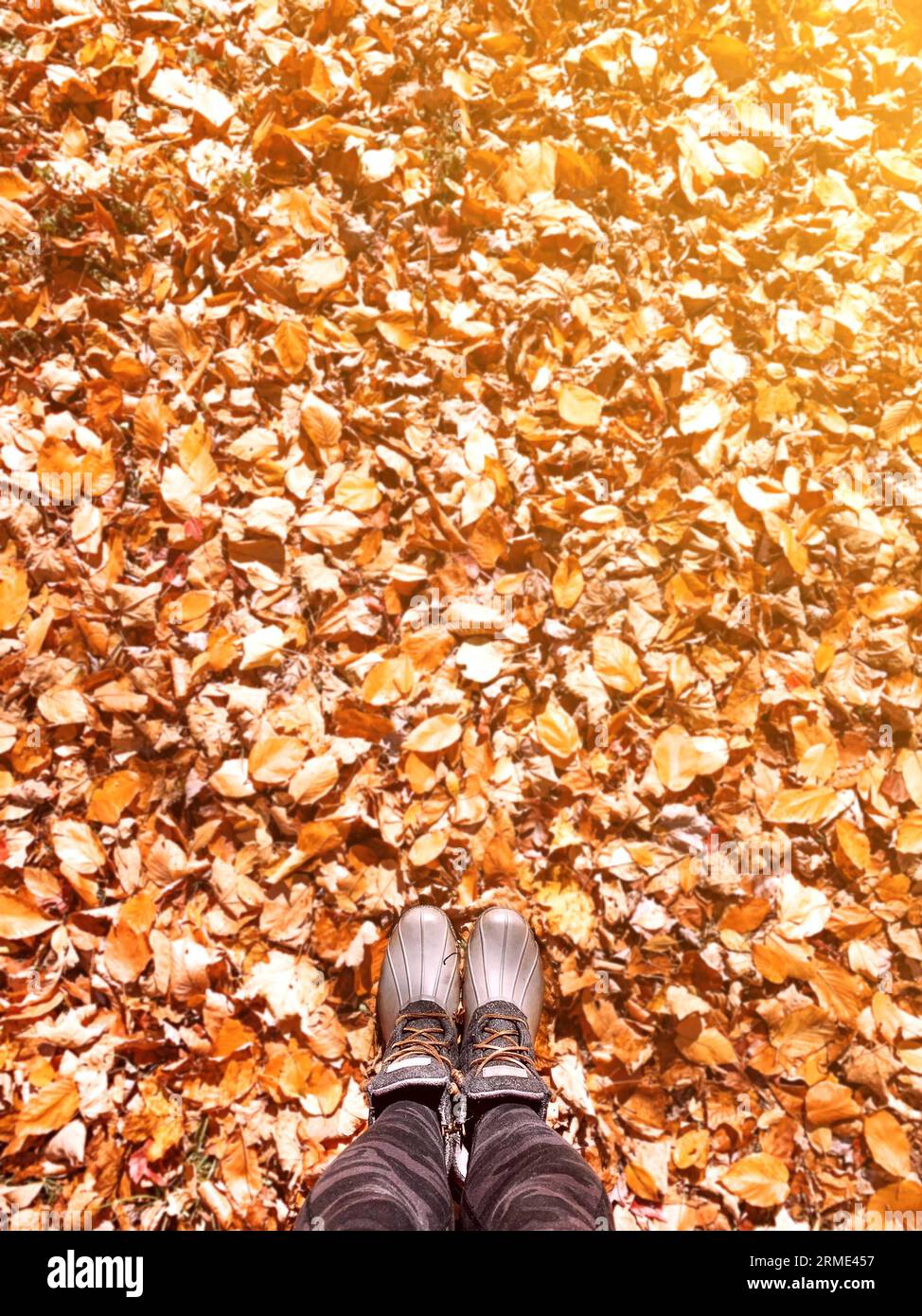 laser orange on feet