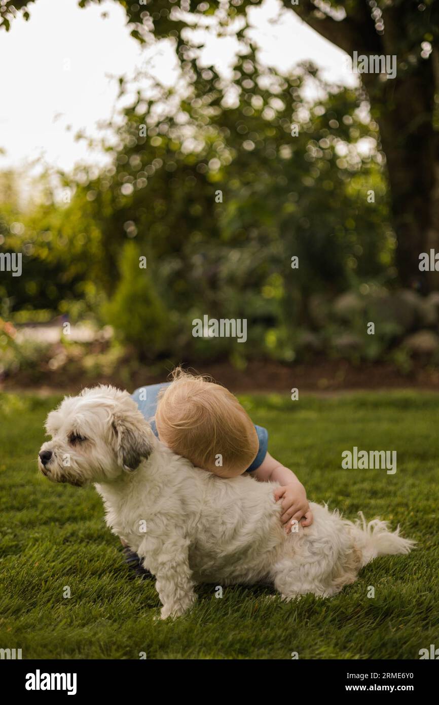 Toddler hugs small white fluffy dog with joy in the garden Stock Photo