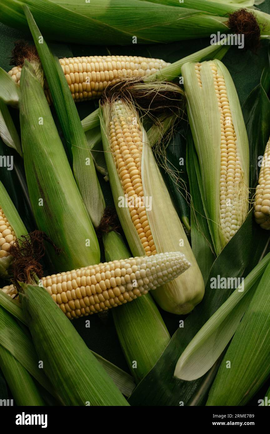Fresh corn on cobs on table, closeup Stock Photo