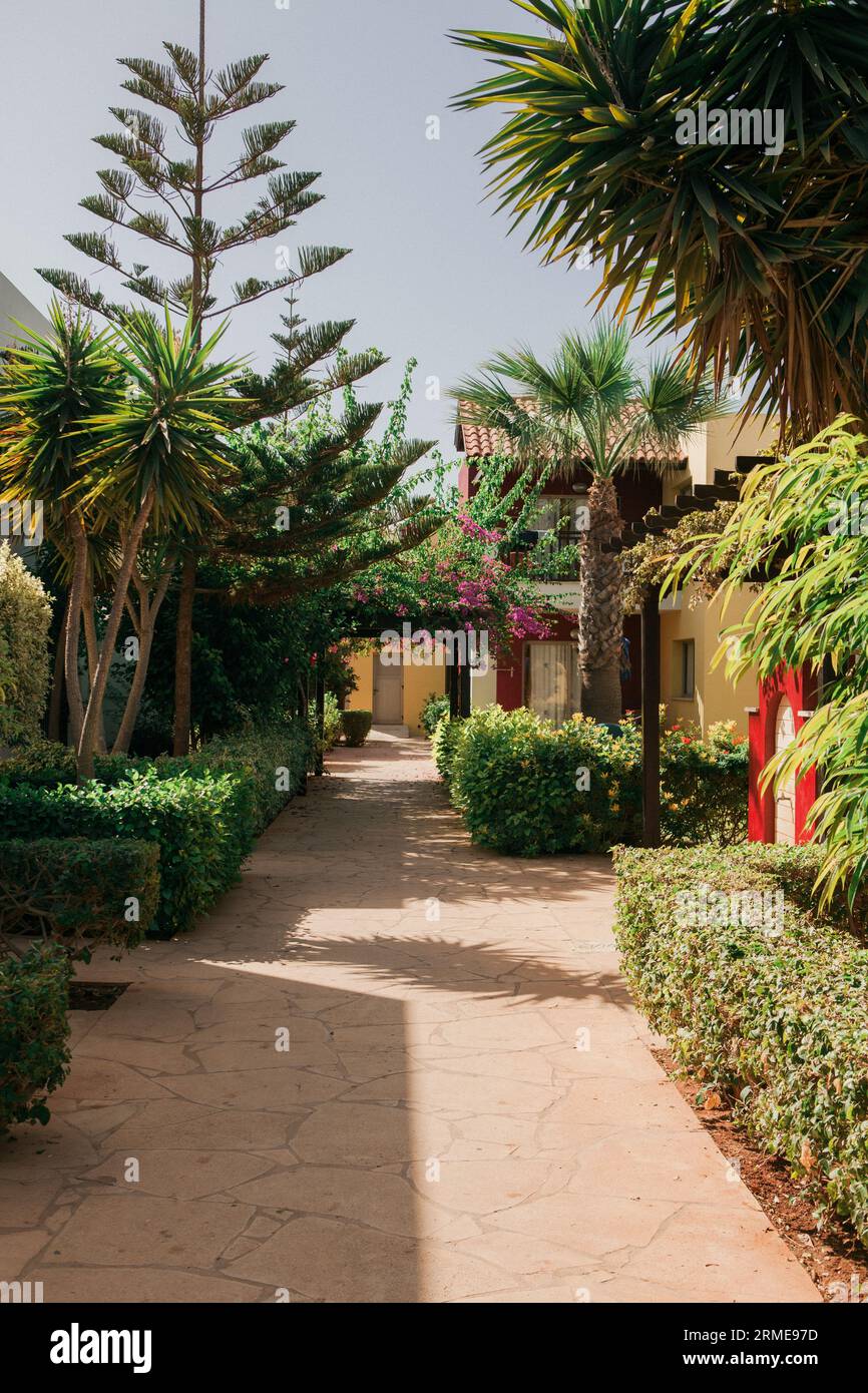 Tropical garden with palm trees and shrubs in a resort, Agia-Napa, Cyprus Stock Photo