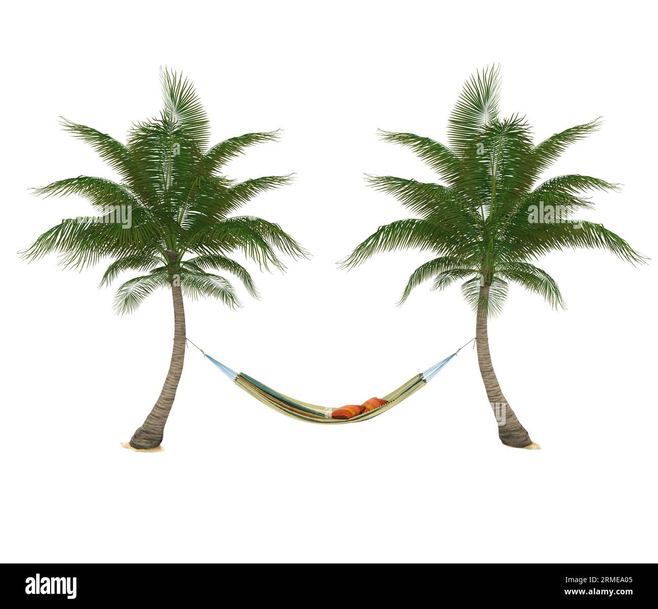 Hammock and Palm Tree Isolated Stock Photo Alamy