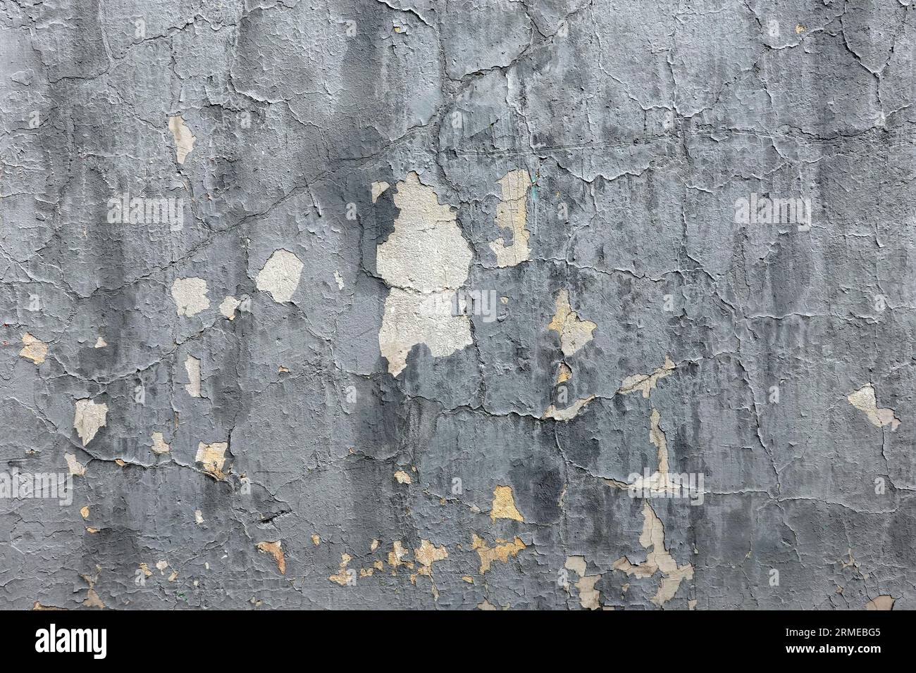 Scratched uneven wall painted surface with damaged gray plaster as background front view close up Stock Photo