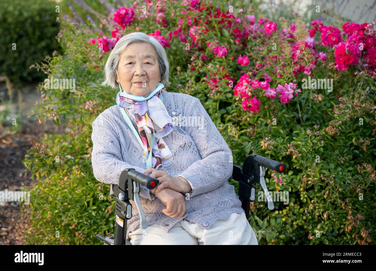 Senior woman with facemask under her chin sitting on a walker and ...