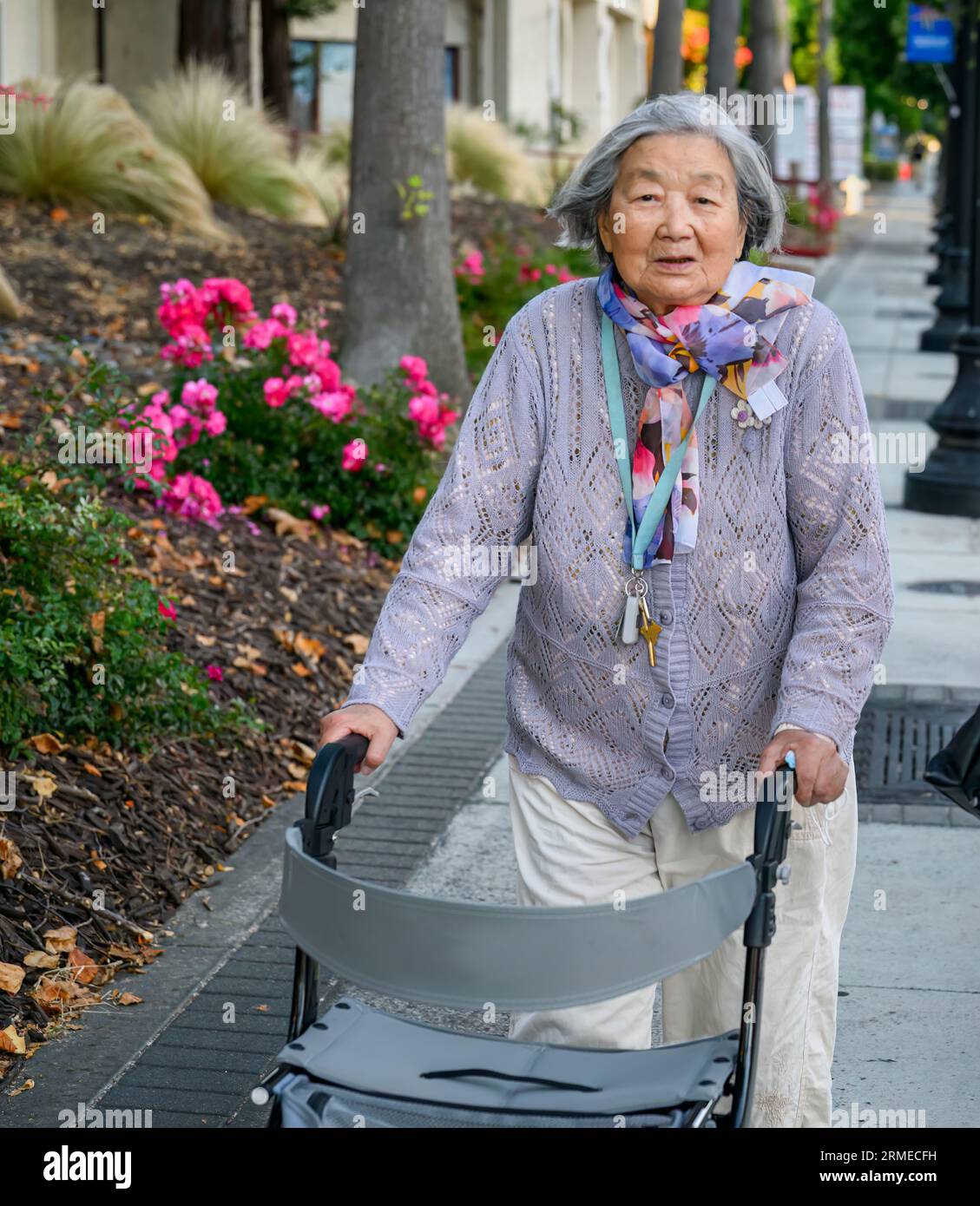 Front view of a smiling senior woman walking outdoors with her walker ...