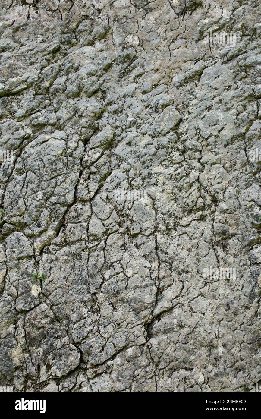 Seamless pattern of a mountain boulder, rock texture that can be repeated, close up Stock Photo