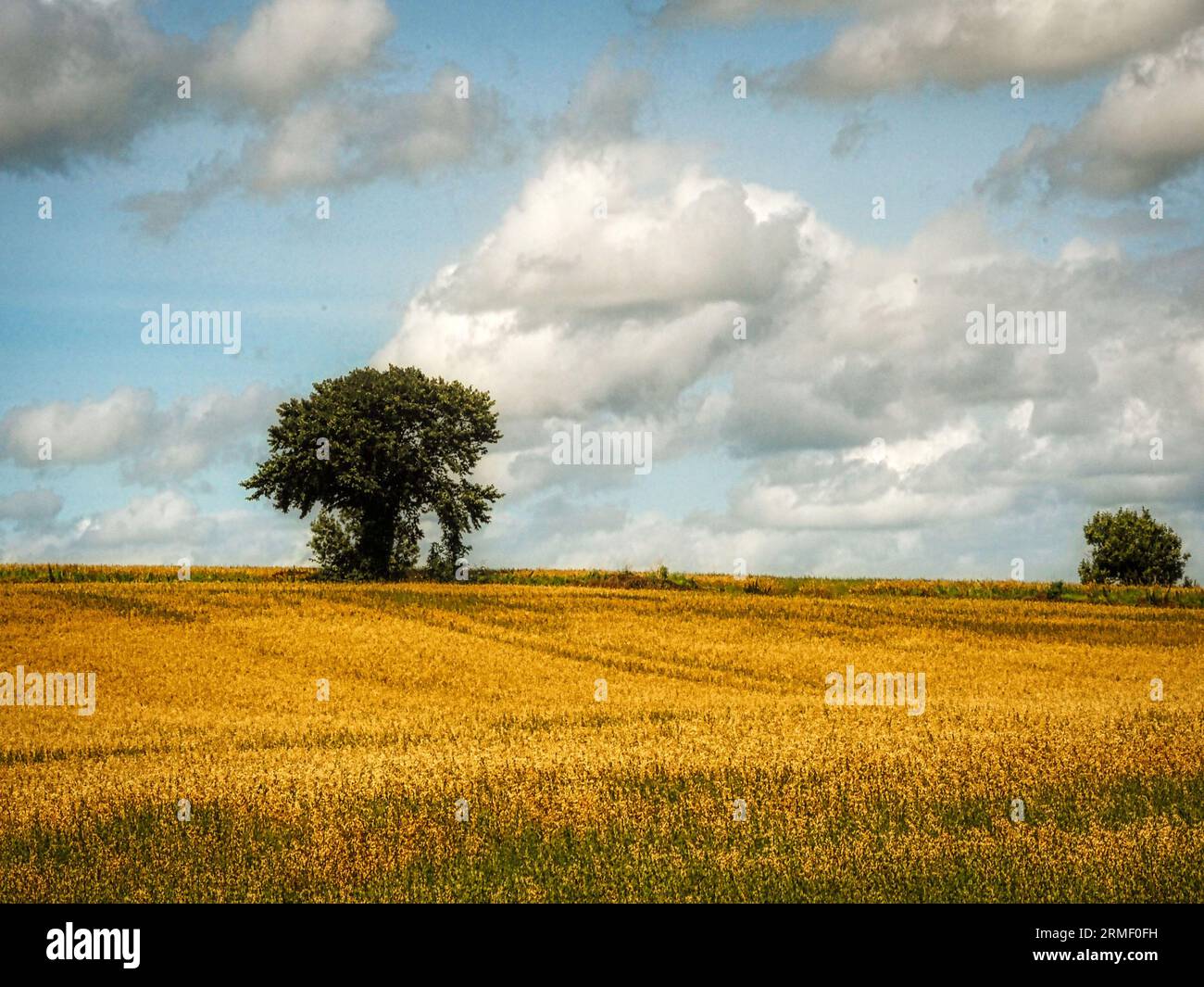 Photo in nature hi-res stock photography and images - Alamy