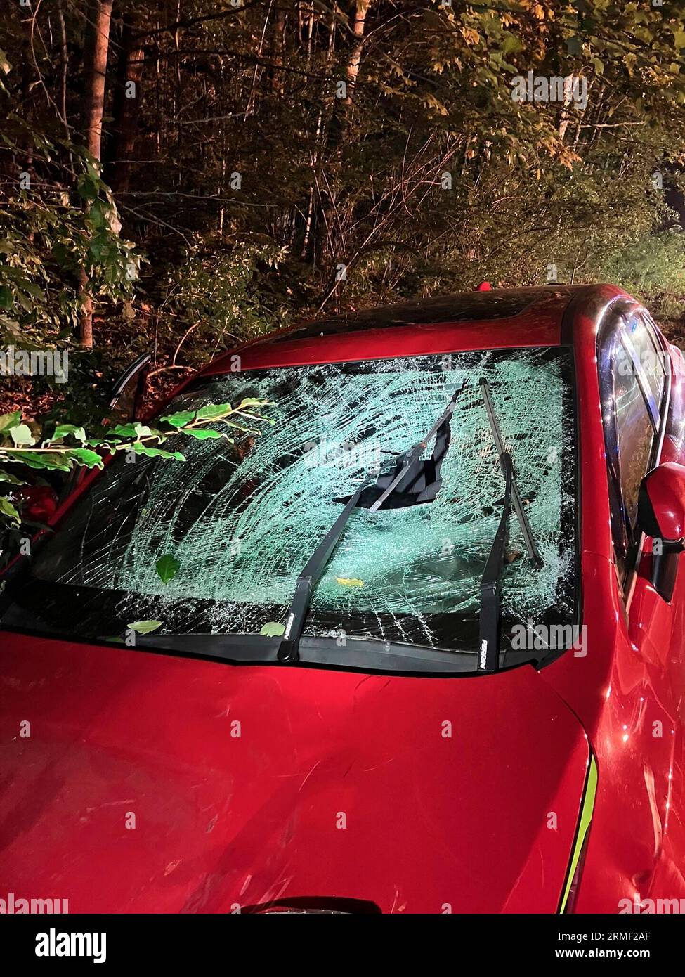 This photo provided by the York County Sheriff's Office shows a car that struck three state