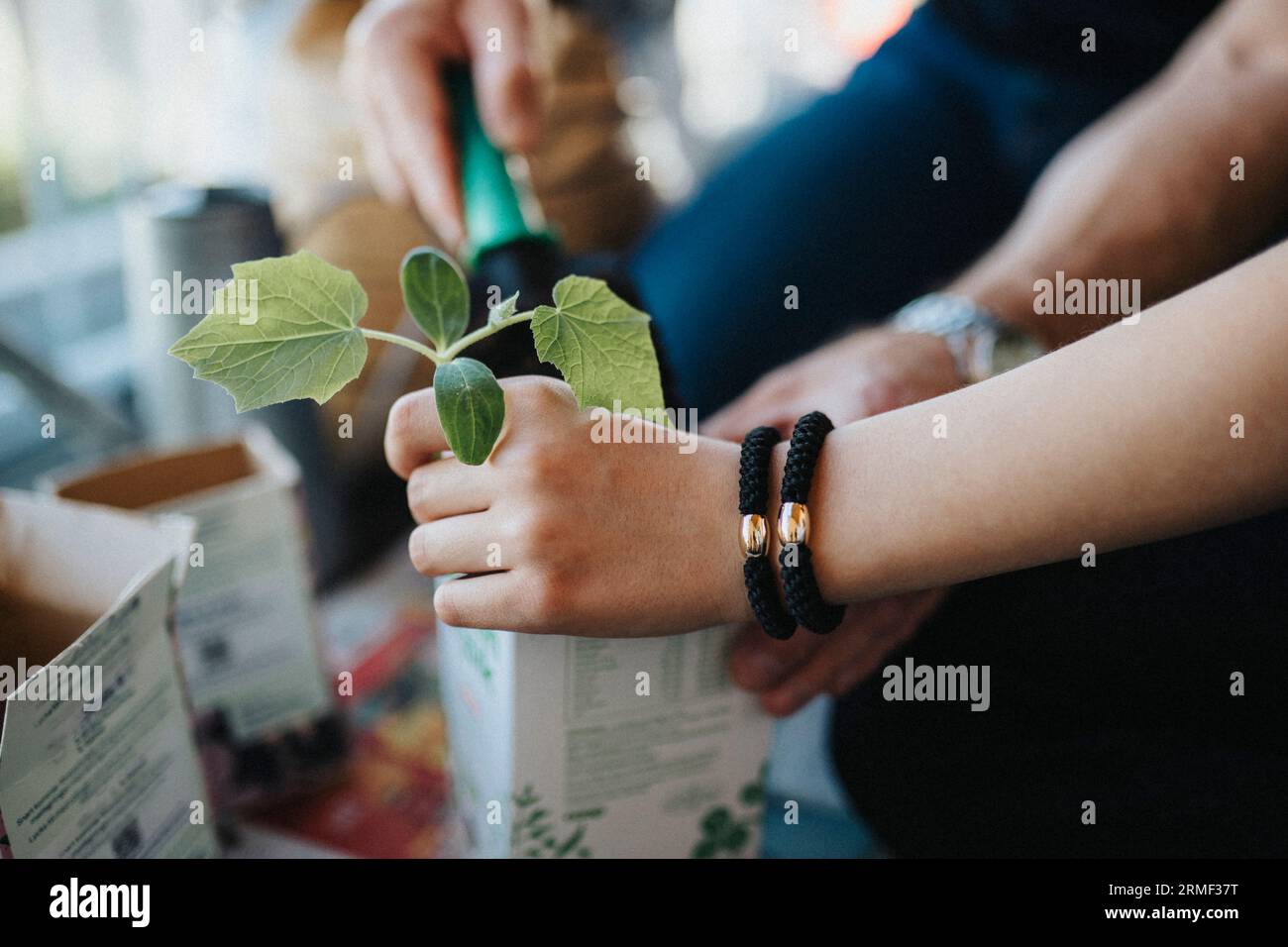 Father and daughter bonding over planting seedlings Stock Photo