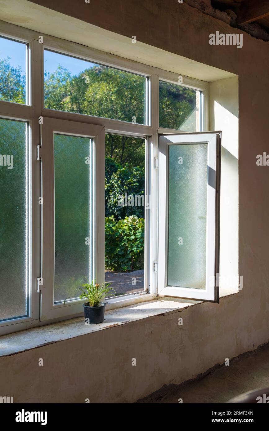 Green plant in a pot on a windowsill with an open window in an old ...