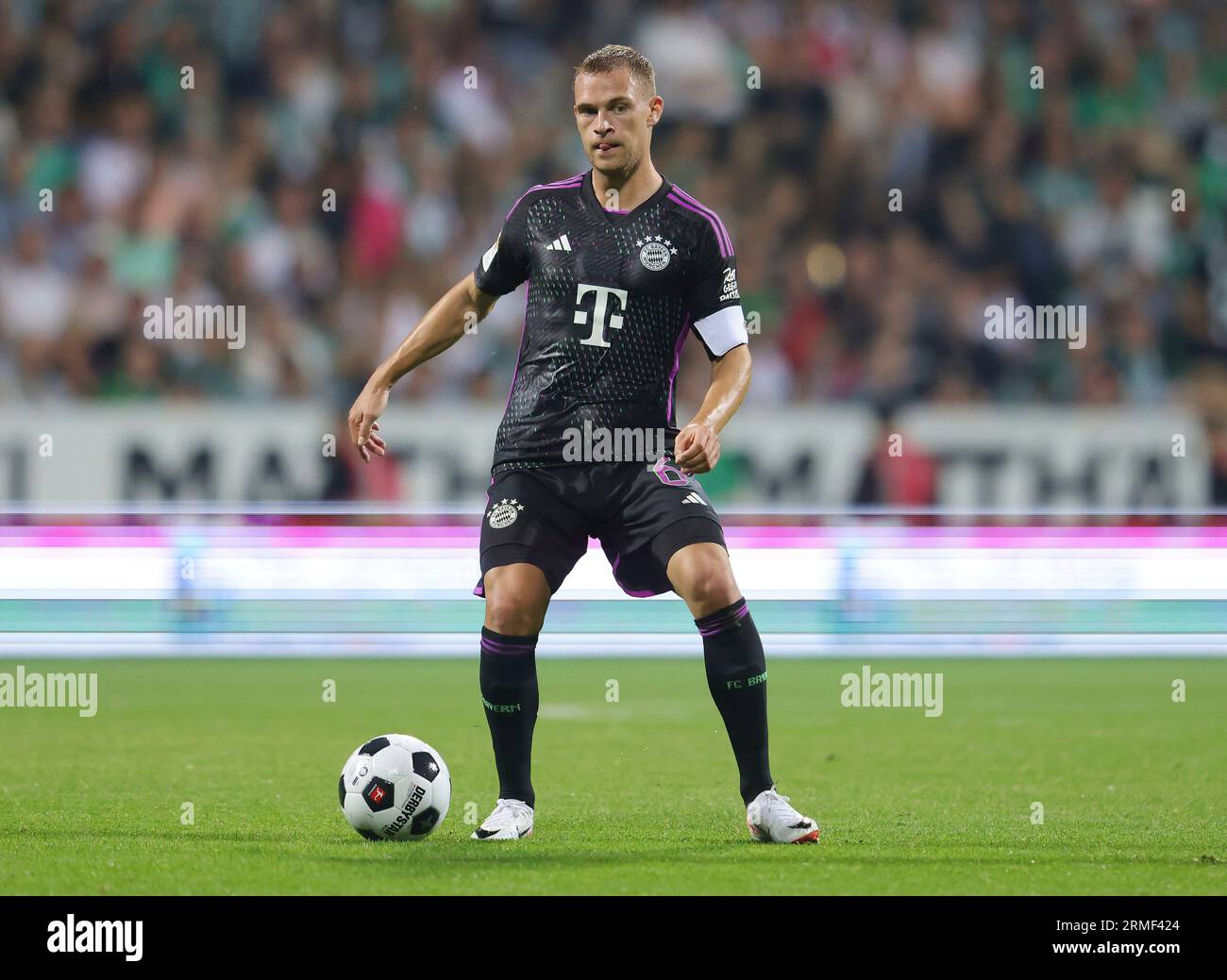 firo: 08/18/2023 1.Bundesliga first league season 2023/24 SV Werder Bremen  - FCB FC Bayern Munich Munchen Munich 0:4 championship trophy, background,  depositor, Bavaria cutout Stock Photo - Alamy