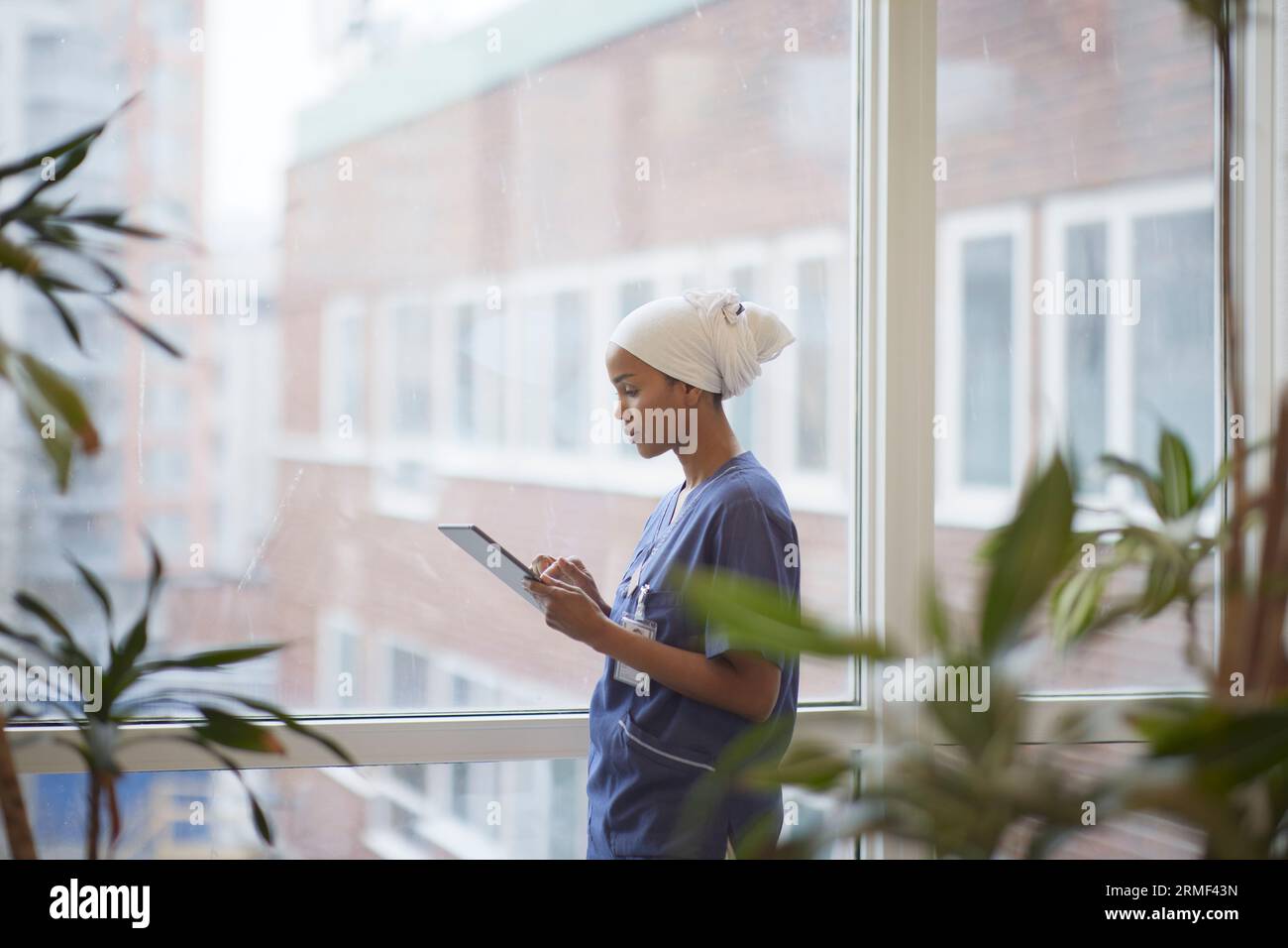 Female doctor standing and using digital tablet Stock Photo