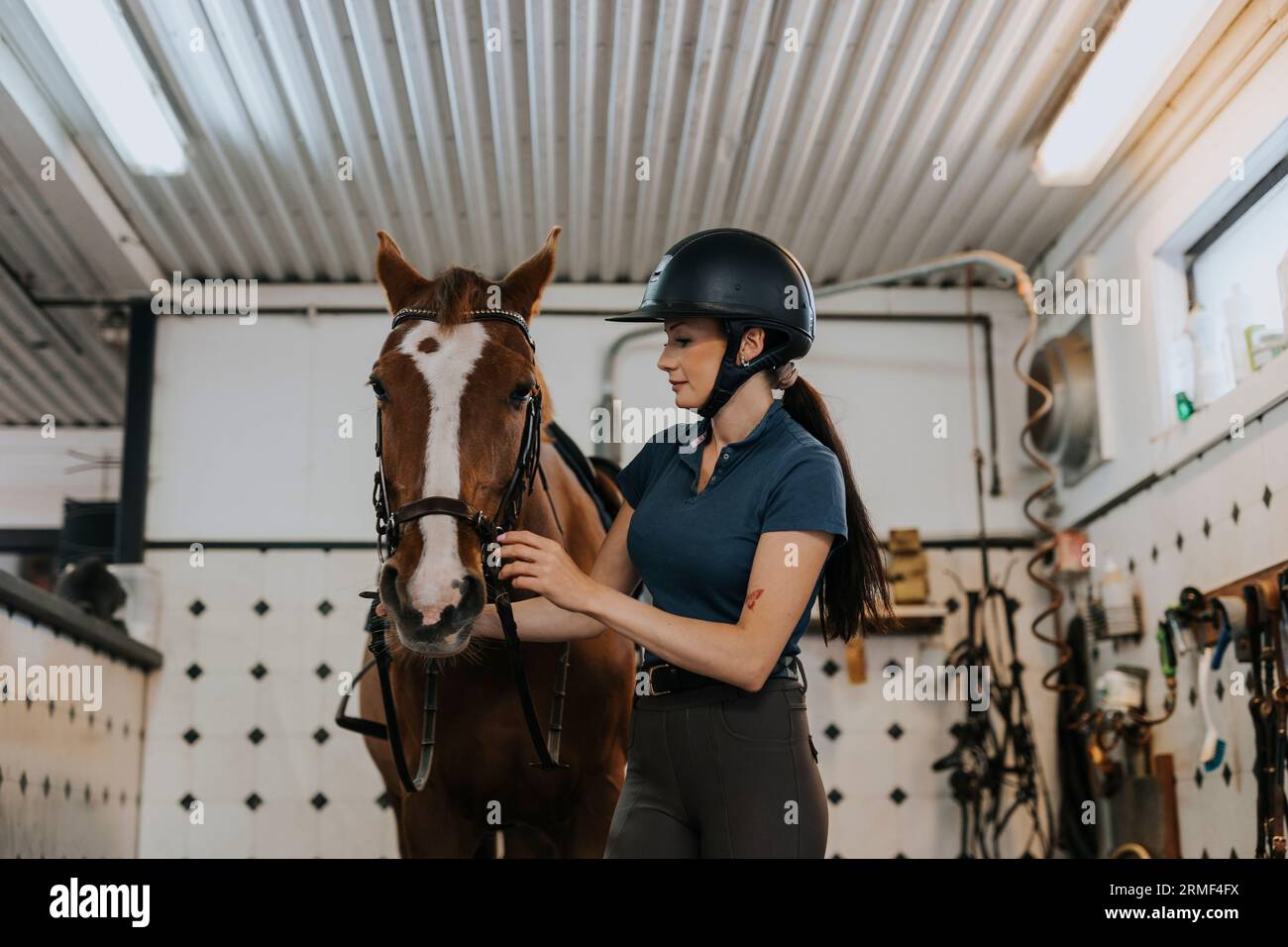 Woman in stable preparing horse for horse riding Stock Photo - Alamy