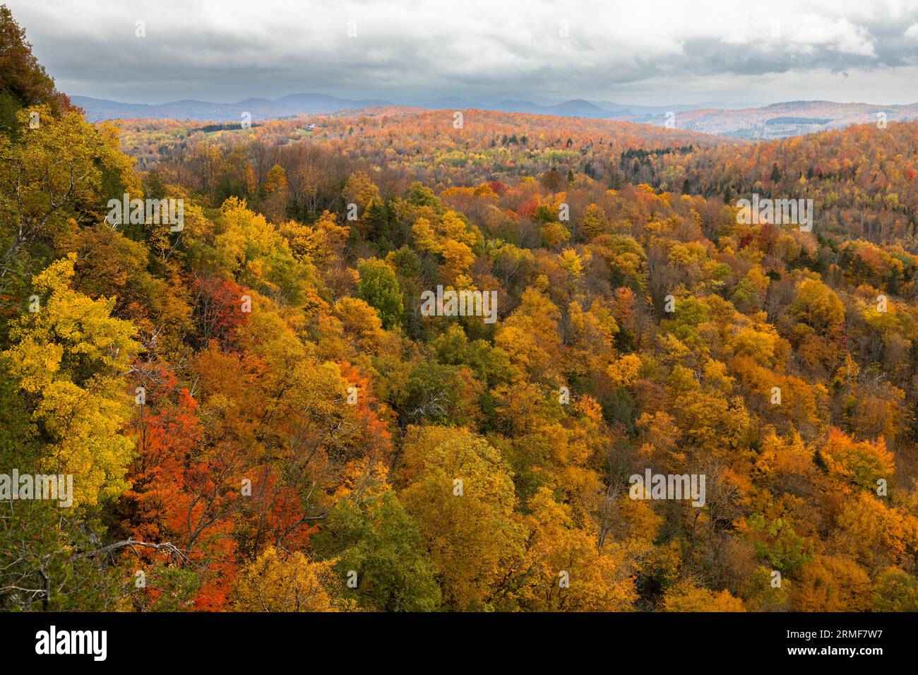 Nichols Pond Forest seen from above in Autumn, Hardwick, Vermont, USA Stock Photo