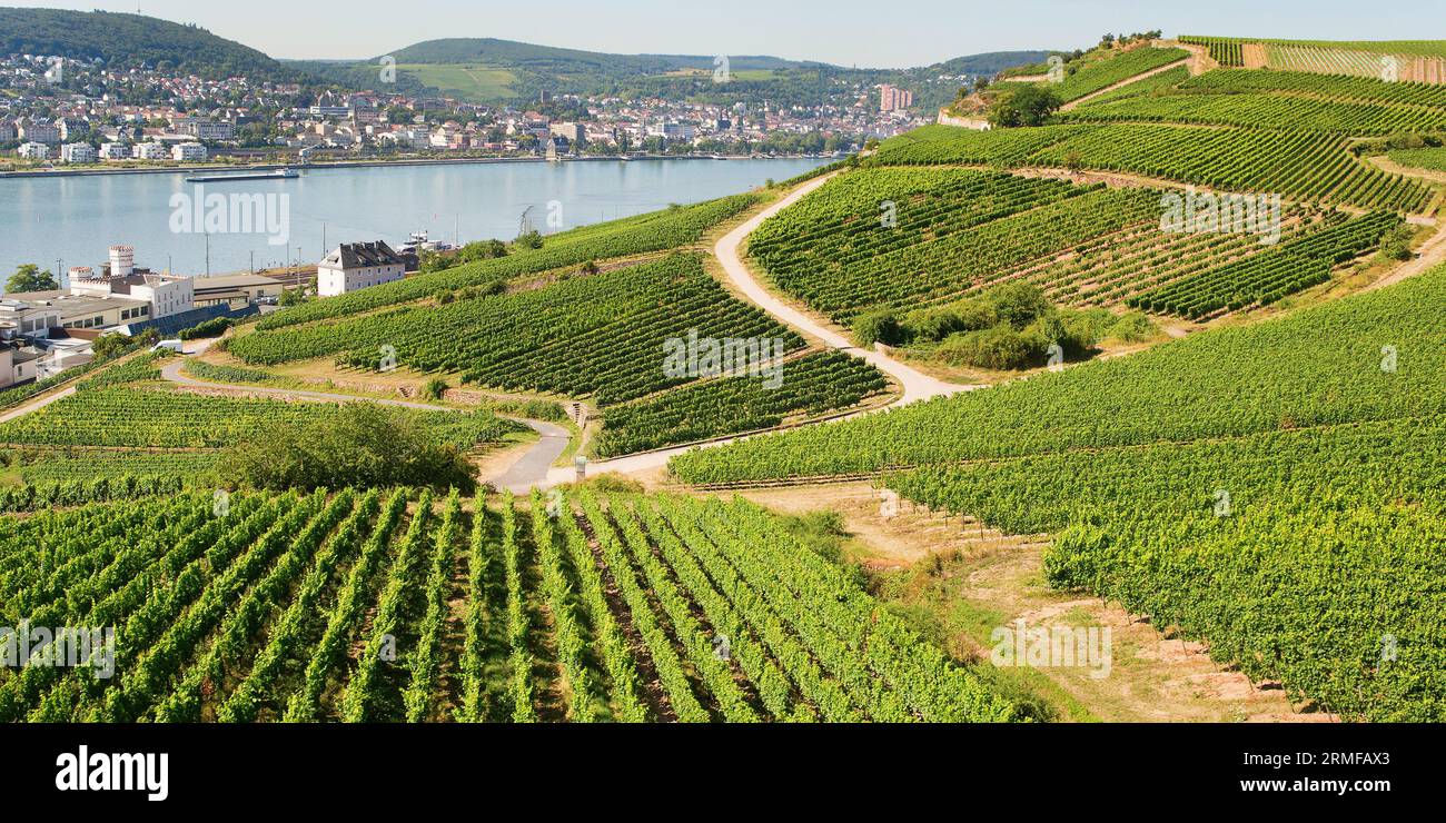 rudesheim-germany-river-aerial-hi-res-stock-photography-and-images-alamy