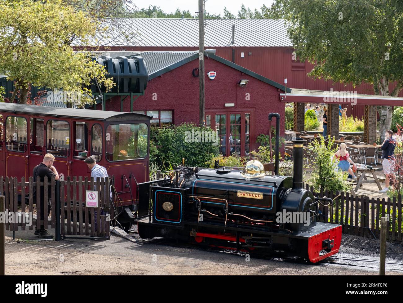 Bressingham, Norfolk, UK – August 21 2023. A small steam locomotive on a narrow gauge railway at Bressingham steam museum Stock Photo