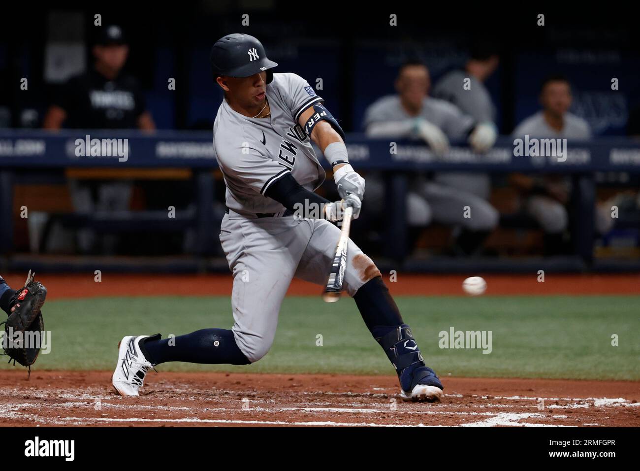 Tampa Bay Rays vs. New York Yankees Tickets Aug 25, 2023 Saint Petersburg,  FL