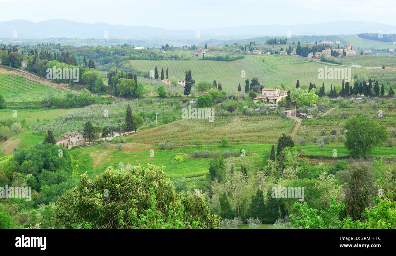 Typical Tuscan landscape with cypress, vineyards and farm houses Stock Photo