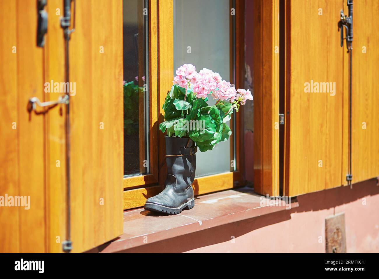 Pink flowers in high boot on a window sill Stock Photo - Alamy