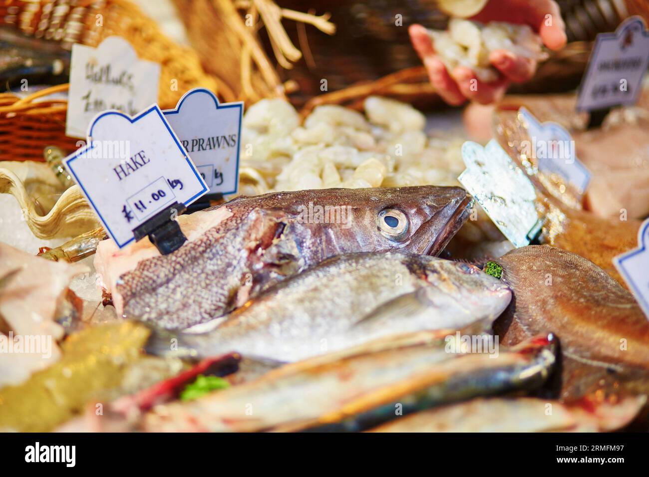 Fresh hake for sale on London fish market Stock Photo Alamy