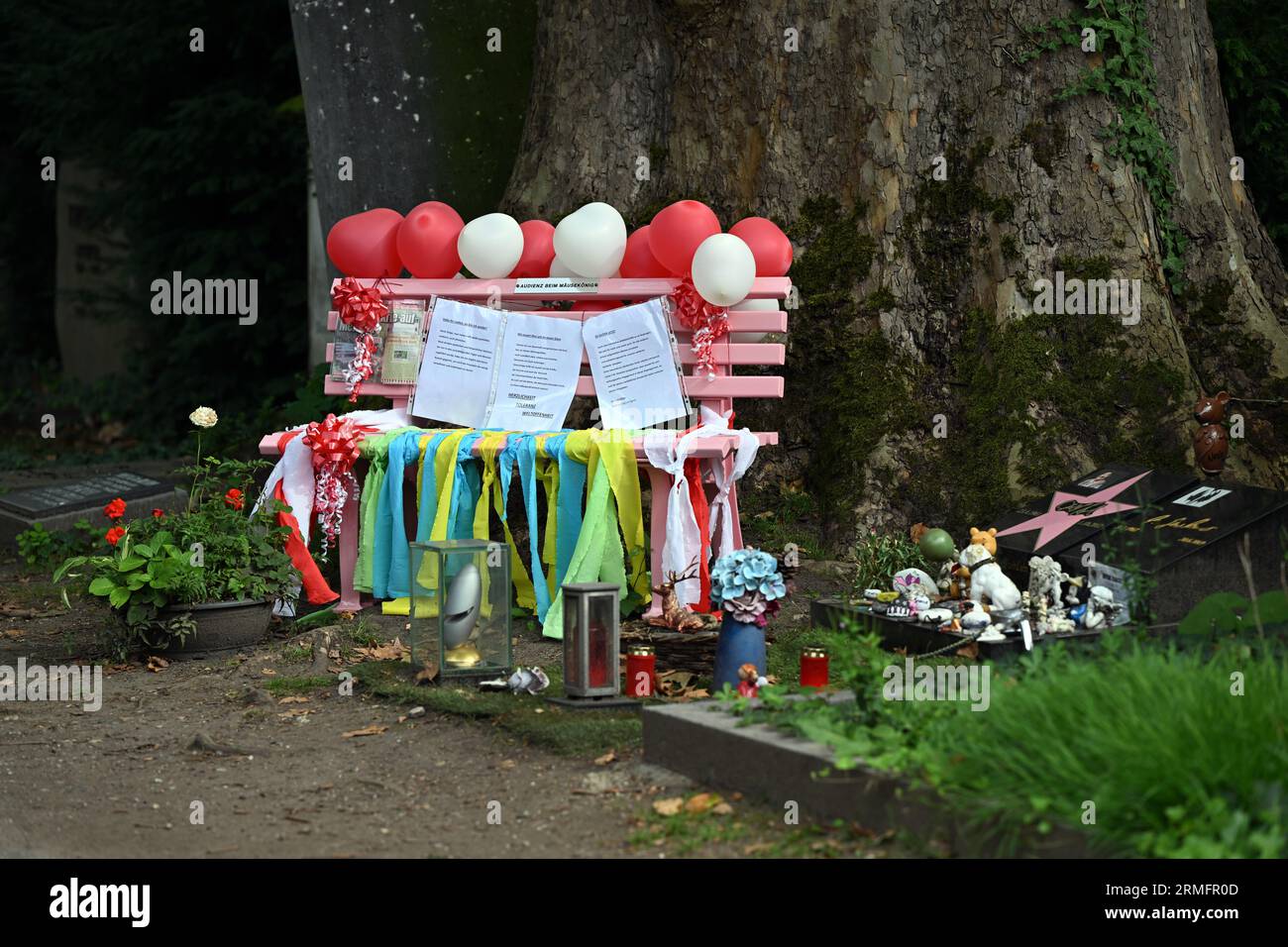 Cologne, Germany. 28th Aug, 2023. Decorated with balloons and bows, a bench stands at the grave of comedian Dirk Bach. The pink bench that has been missing for days is back. On Monday it stood festively decorated with balloons and bows at the old place on the Cologne Melaten cemetery. Who took the bench away in the meantime is unclear. The police spokesman said that they will check together with the public prosecutor's office whether there is a criminal offense. Credit: Federico Gambarini/dpa/Alamy Live News Stock Photo