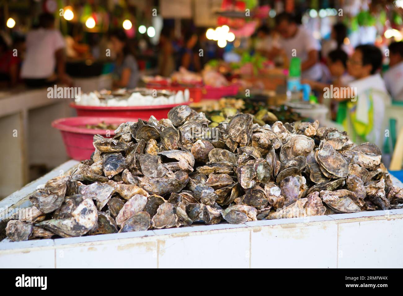 Oysters on the seafood market, Philippines Stock Photo Alamy