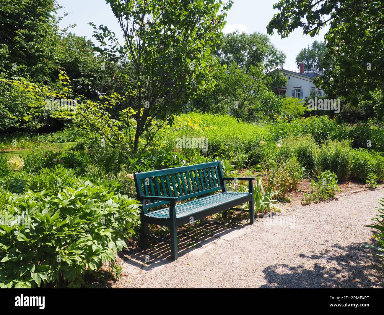 A wooden park bench in the foreground of a lush green landscape, with a ...