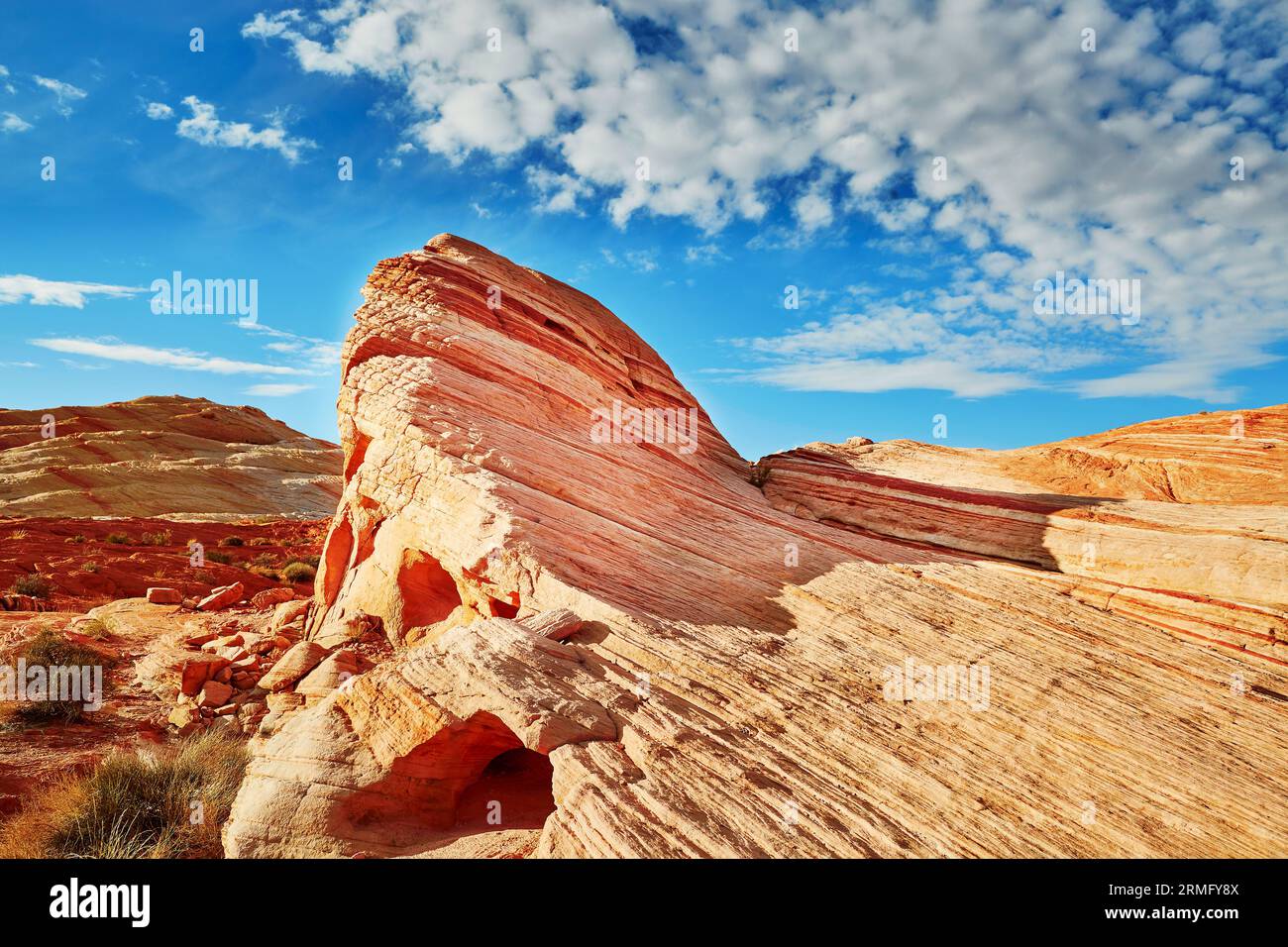 Nevada Rocks Striped colorful sedimentary rock formation called 'The Wave' in Valley ...
