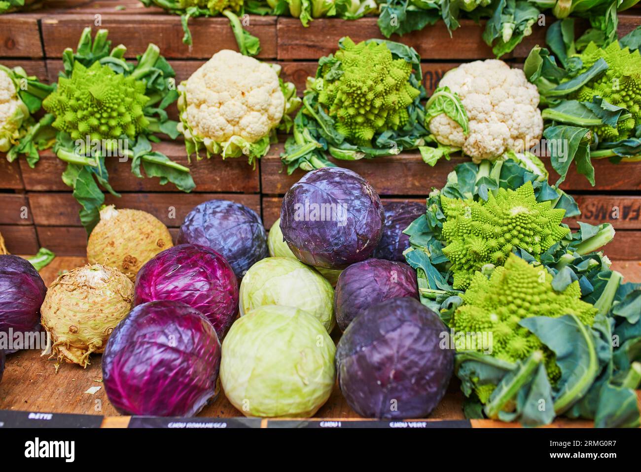 Different types of cabbage on farmer market. Fresh healthy bio
