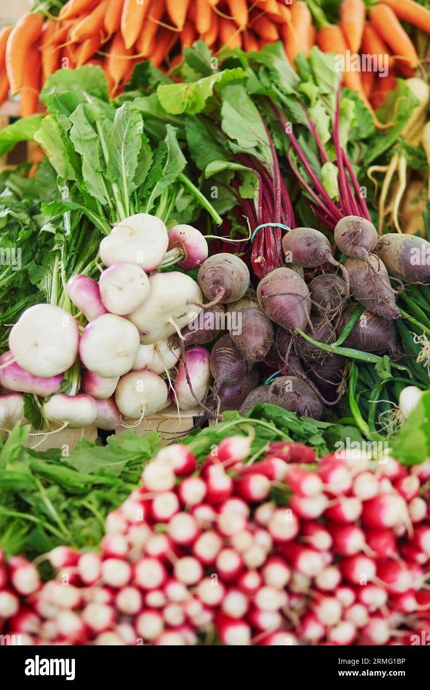 Large heap of fresh ripe organic beets and turnips on farmer market in ...