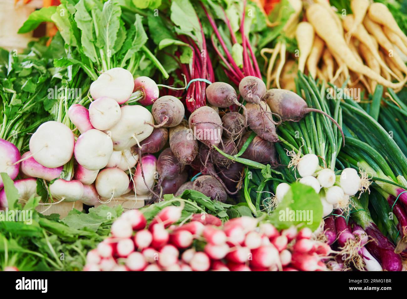 Large heap of fresh ripe organic beets and turnips on farmer market in ...