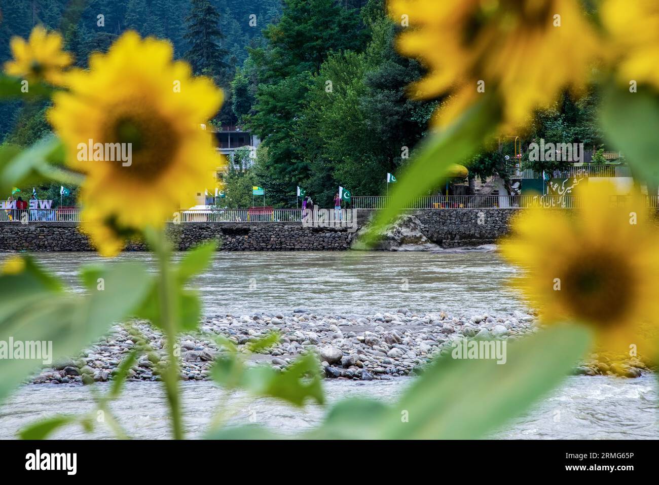 Keran Kupwara, India. 25th Aug, 2023. Pakistani and Kashmiri flags are seen installed on the banks of Neelam river or Kishan Ganga that has divided Kashmir into two parts controlled by nuclear rivals India and Pakistan. The river acts as a disputed line of control and flows through a village called Keran from both sides which is located on the northern side of Indian Kashmir's Border district Kupwara some 150kms from Srinagar and 93kms from Muzaffarabad, in the Pakistan side of Kashmir. (Photo by Faisal Bashir/SOPA Images/Sipa USA) Credit: Sipa USA/Alamy Live News Stock Photo