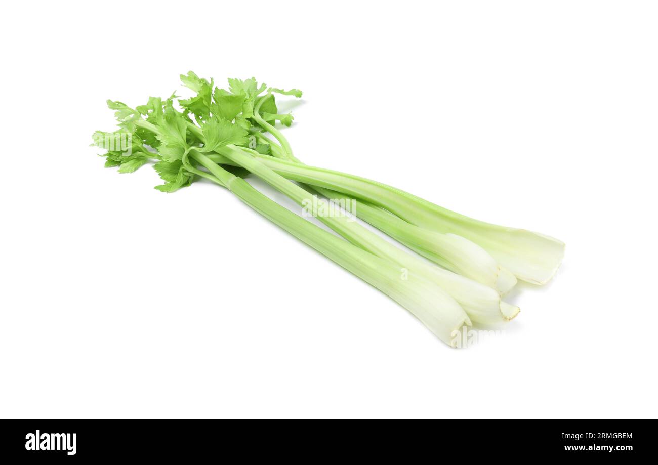 Fresh green celery stems isolated on white Stock Photo