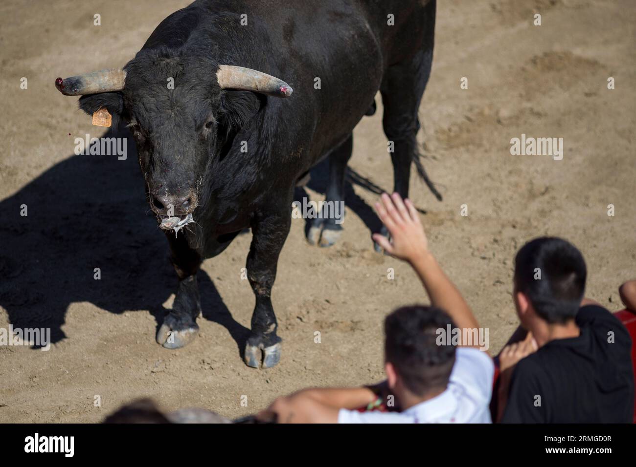 Bull pen hi-res stock photography and images - Alamy